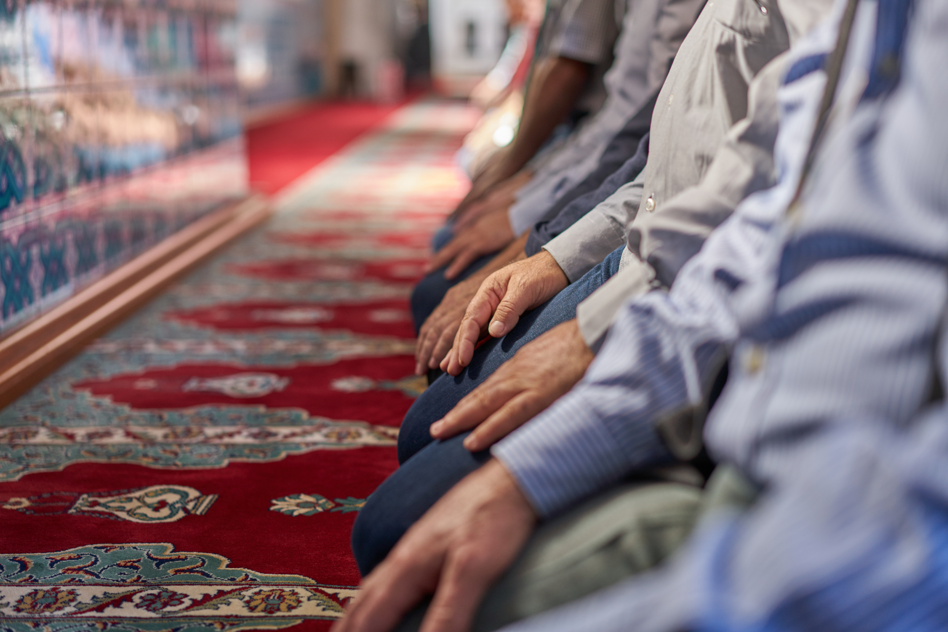  Muslim men are kneeling on a red carpet in a mosque with their hands on their knees while praying.